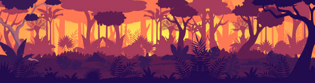 vektor tropischen dschungel sonnenuntergang silhouette panorama hintergrund. goldene sonnenstrahlen im wilden wald, üppige vegetation wird dunkel. bäume, lianen, gräser ändern farben von licht zu nacht schatten spiel-design. - liana cartoon bush tropical climate stock-grafiken, -clipart, -cartoons und -symbole