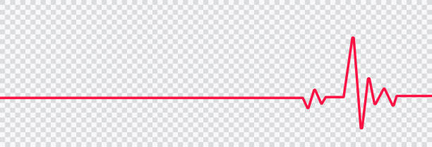 Red heartbeat line icon. on flat style on transparent background Red heartbeat line icon. on flat style on transparent background vector eps 10 heartbeat line stock illustrations
