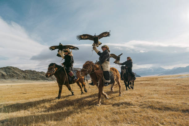 retrato de un grupo de cazadores de águilas cerca del río en mongolia - aguila real fotografías e imágenes de stock