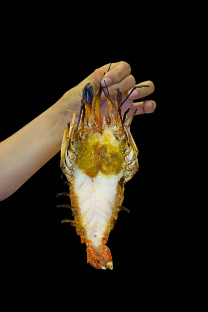 istock Die cut grilled giant river shrimp in hand, focus selective 1221852305