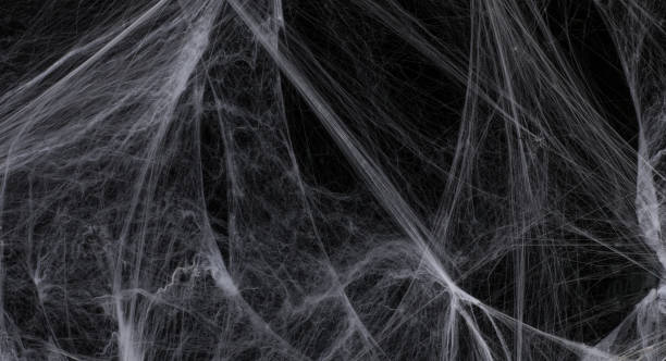 istock scary halloween background with white spider web on black background 1221854650