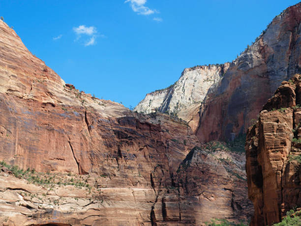 istock Zion National Park 1221856644
