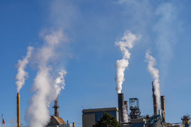 istock Pulp and Paper Factory 1221859917