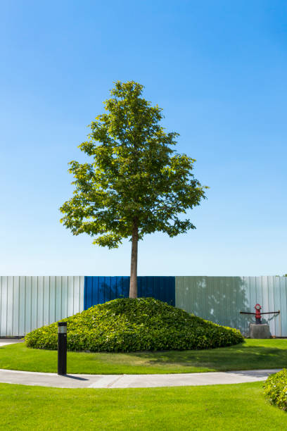 istock Cityscape, modern and ecological street 1221863691