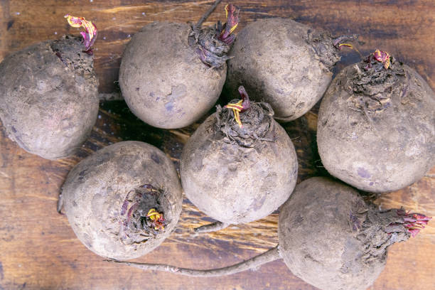 Fresh picked organic beetroot on old rustic wooden board, on wooden background