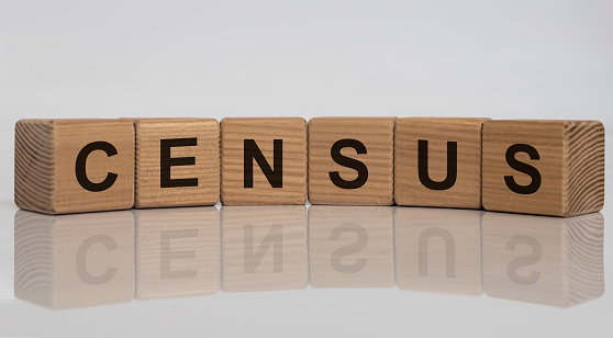 Census - words from wooden blocks with letters, official count or survey of a population, census concept, white grey glossy background with reflection