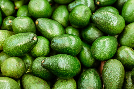 A big pile of whole ripe avocados. Close up, top view.