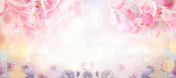istock Beautiful spring flowers blurred background with bokeh effect. 1221870506