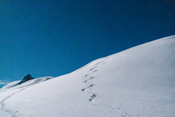 Moonlight illuminates tracks