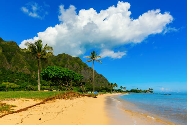 istock scenic view at Kualoa Regional Park in Oahu, Hawaii 1221874855