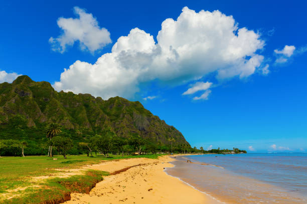 istock scenic view at Kualoa Regional Park in Oahu, Hawaii 1221874861
