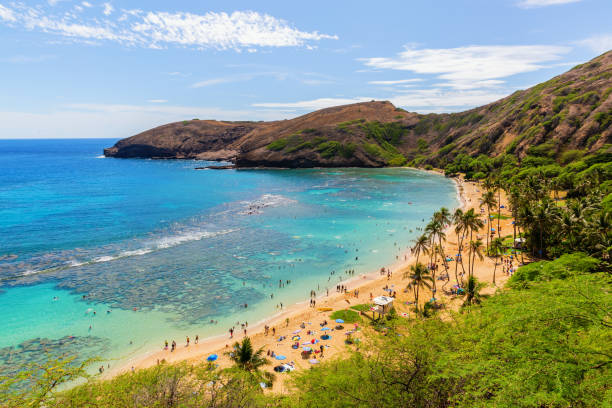 playa paradisial con gente irreconocible en hanauma bay, oahu, hawái - hanauma bay fotografías e imágenes de stock