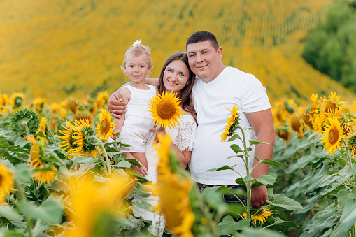 happy family having fun in the field of sunflowers. Mother holding her daughter and sunflower in hand. The concept of summer holiday. Mother's, father's, baby's day. Family spending time together.