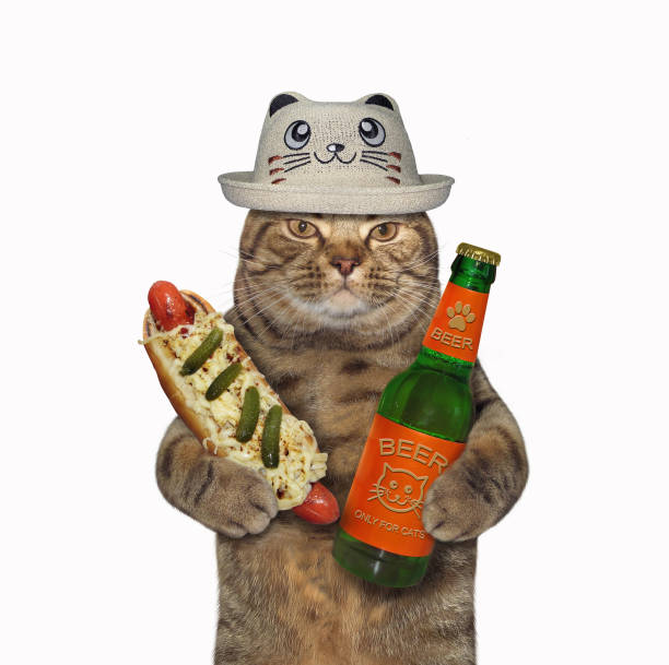 istock Cat likes beer with hot dog 2 1221886263