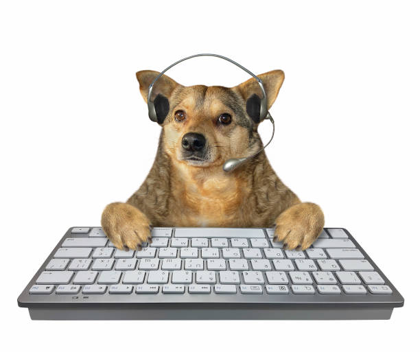 istock Dog employee typing on keyboard 2 1221886266