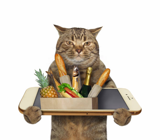 istock Cat orders food from phone 1221886394