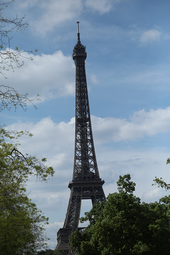 Eiffel Tower through a border of green foliage.