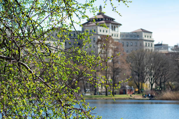 Beautiful Green Leaf Tree Branch during Spring at the Harlem Meer at Central Park with a Skyline View in New York City A tree branch with green buds during early spring at the Harlem Meer of Central Park in New York City with skyscrapers in the background harlem park stock pictures, royalty-free photos & images