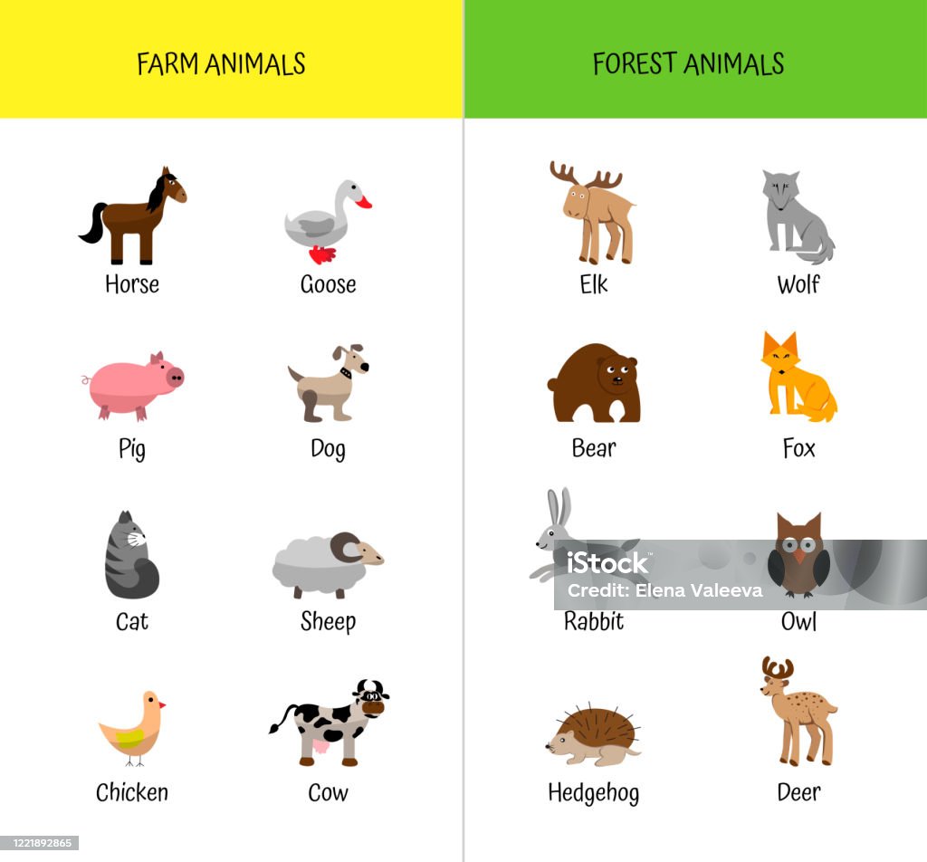 Farm And Forest Animals Set List Educational Card For Preschoolers Zoology  For Children Names Of Animals Stock Illustration - Download Image Now -  iStock