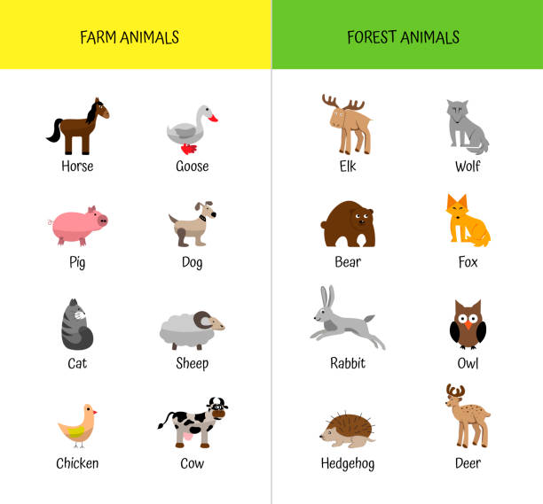 Farm And Forest Animals Set List Educational Card For Preschoolers Zoology  For Children Names Of Animals Stock Illustration - Download Image Now -  iStock
