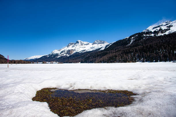 istock Silvaplana lake in Engadine in Switzerland. 1221895121