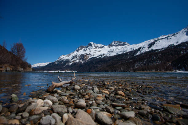 silvaplana lake in engadine in switzerland. - corvatsch imagens e fotografias de stock