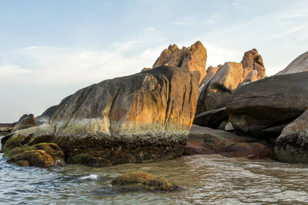 istock Nature of Vietnam 1221896447