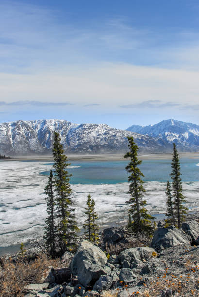 Frozen lake thawing in Springtime in the beautiful Wrangell mountains in Alaska
