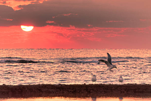 istock Sunrise on the beach VD702 1221905520