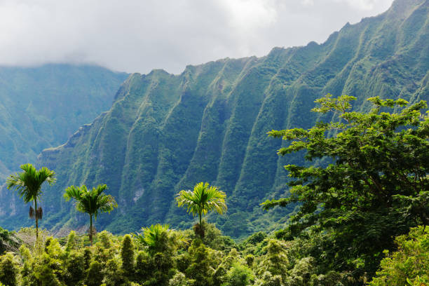 Botanical Garden on Oahu, Hawaii