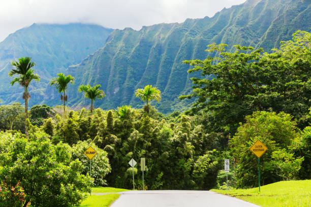 istock Botanical Garden on Oahu, Hawaii 1221906267