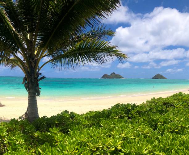 istock Mokulua island at Lanikai  Beach, Oahu Hawaii 1221907342