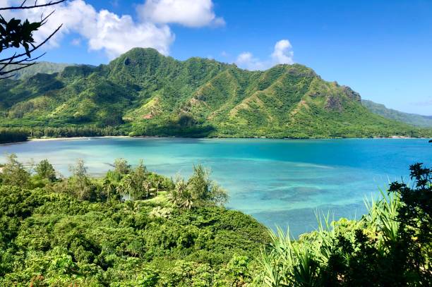 istock Kahana Bay, view from crouching lion hike  at Oahu Hawaii 1221908265