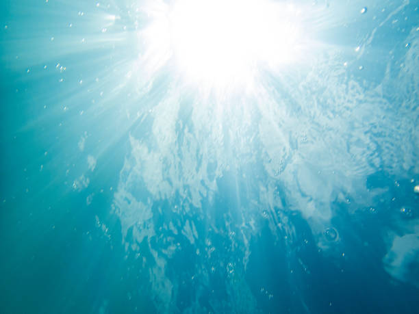 istock Bubbles underwater in Hawaii Oahu 1221909137