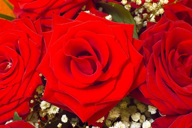 istock bouquet of roses 122191018
