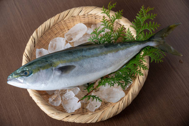 istock Inada, japanese whole raw yellow tail 1221910757