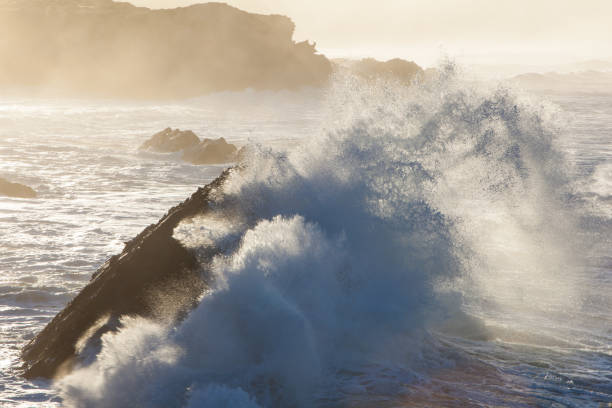 Powerful waves crash on the dramatic coastline of Northern California in Sonoma County. This west coast region, just north of San Francisco, is full of wild, natural beauty.