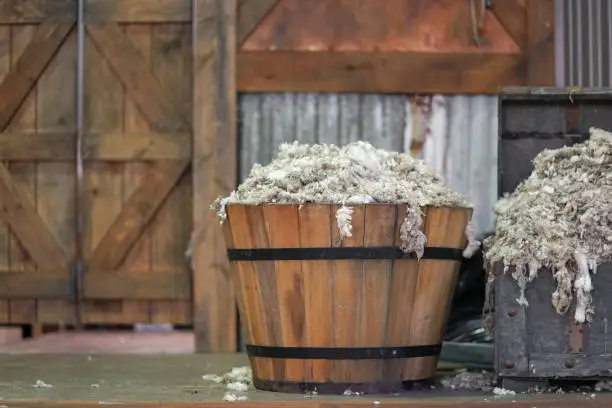 Photo of Sheep skin. A wooden bucket full of sheep skin after sheep shearing. Vintage and rustic setting. Soft focus