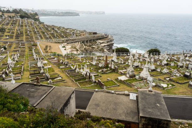 Blank head stones in an unkempt graveyard in Cape Town, South Africa