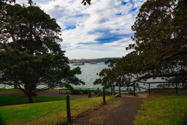 istock Beautiful Park on Sydney Australia harbour 1221927622