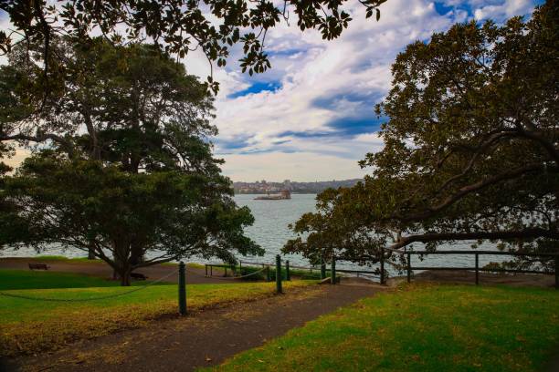 istock Beautiful Park on Sydney Australia harbour 1221927686