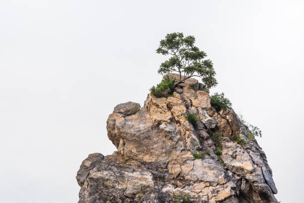 Rock mountain cliff and tree on the top. Beautiful Rock mountain in Khao Ngu Stone Park, Ratchaburi ,Thailand.