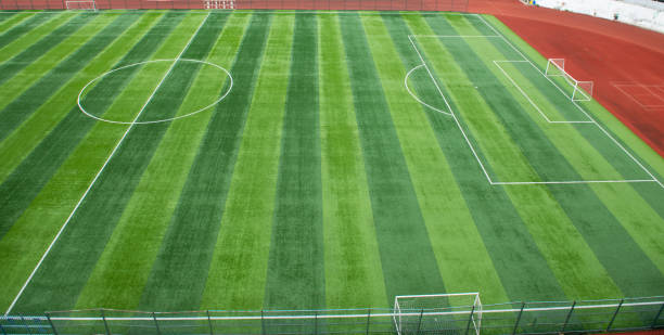 istock Neatly lush football pitch close-up 1221931761