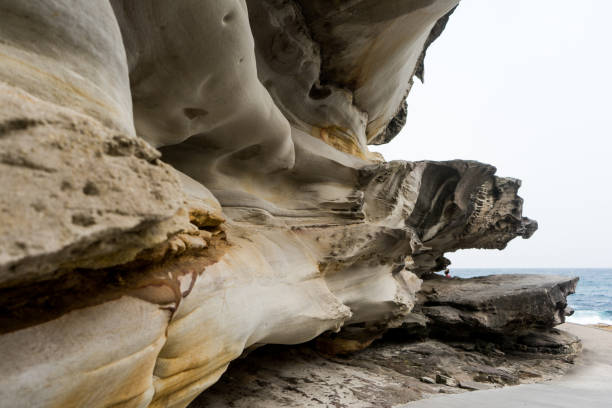 istock Limestone sea cliffs, Sydney, Australia 1221931906