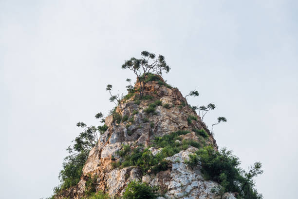 Rock mountain cliff and tree on the top. Beautiful Rock mountain in Khao Ngu Stone Park, Ratchaburi ,Thailand.