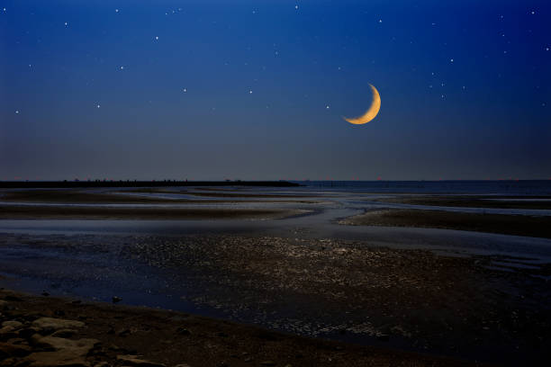 Crescent moon rising over the Tokyo bay area with copy space.