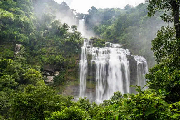 Large and high waterfall on mountain cliff in the tropical rain forest. Beautiful nature waterfall in Bolaven Plateau,  southern Laos, Tad kamud waterfall