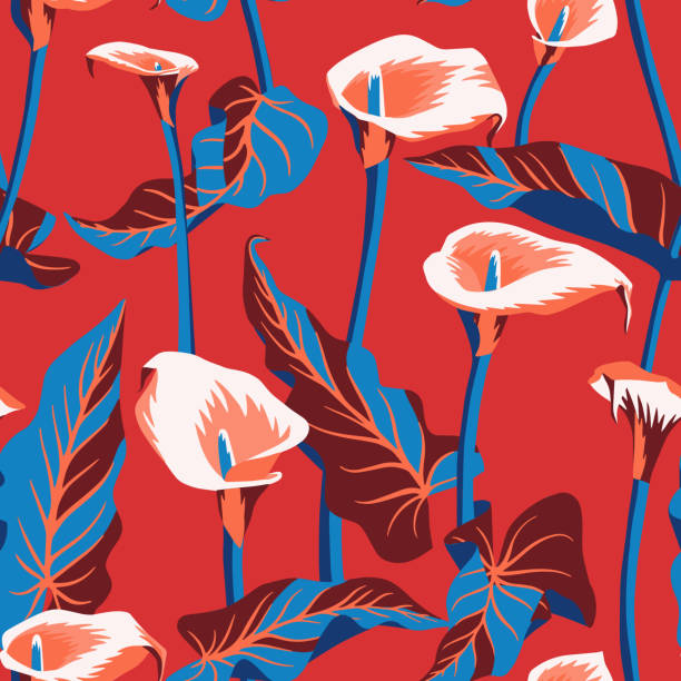 illustrations, cliparts, dessins animés et icônes de motif floral de caractère floral de vecteur avec des fleurs exotiques de calla. illustration botanique - rouge illustrations