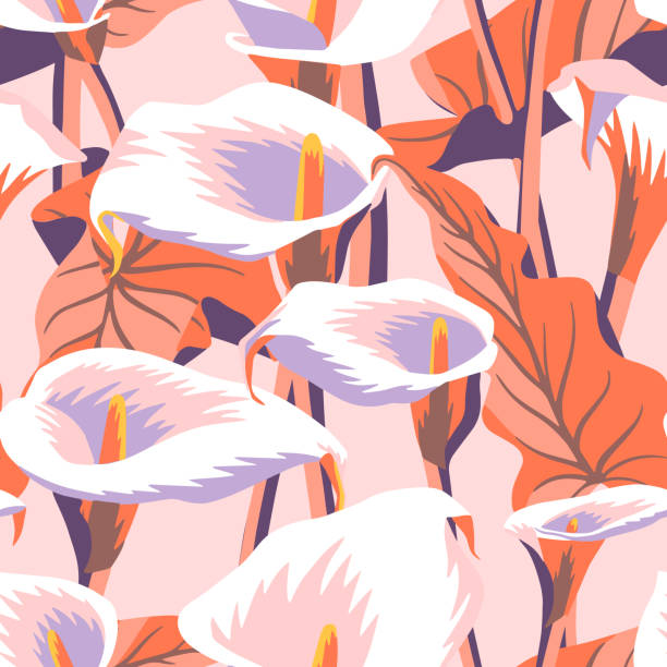 ilustraciones, imágenes clip art, dibujos animados e iconos de stock de patrón floral vectorial con flores de calla exóticas. ilustración botánica - alcatraces de colores