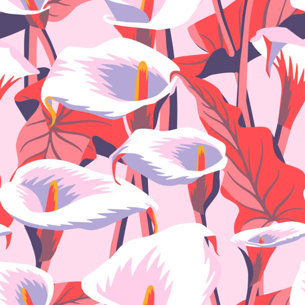 ilustraciones, imágenes clip art, dibujos animados e iconos de stock de patrón floral vectorial con flores de calla exóticas. ilustración botánica - alcatraces de colores